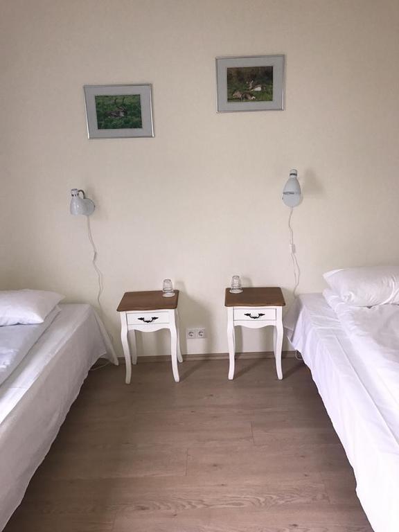Guesthouse Skjoldolfsstadir Skjoldolfsstathir Bagian luar foto